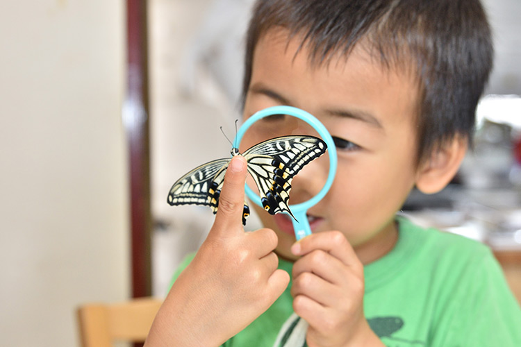 【写真】拡大して見てみると／4歳11カ月