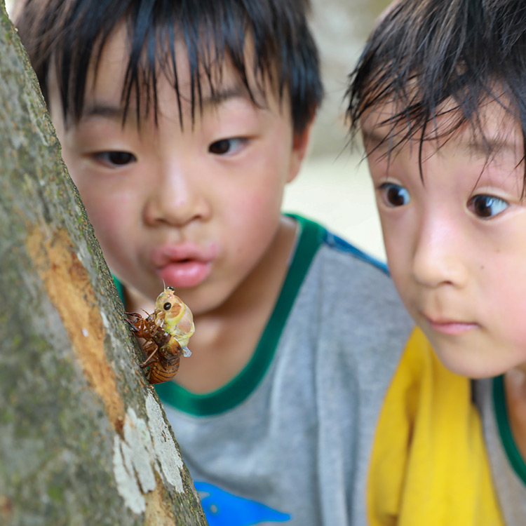 【写真】地上1メートルの世界/5歳6カ月、6歳7カ月