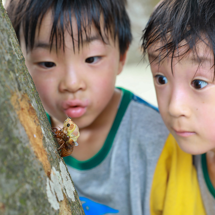 【写真】地上１メートルの世界／5歳6カ月、6歳7カ月