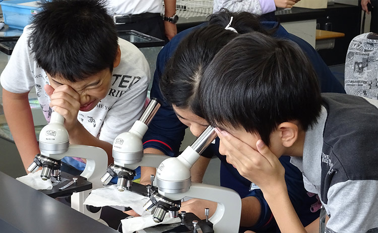 学校・園への支援 イメージ画像