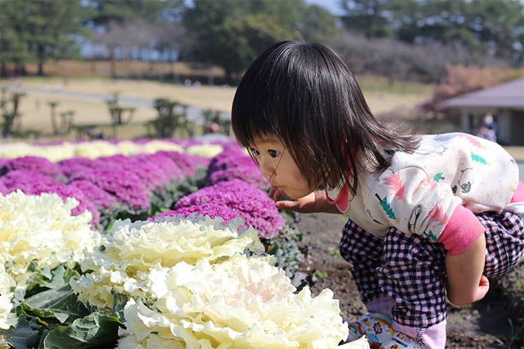 【写真】くんくん/2歳