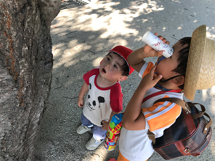 【写真】木の上には何がいるのかな?/2歳4ヵ月、 5歳7ヵ月