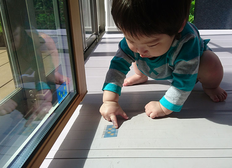 【写真】何だ!?これ!?/0歳10カ月