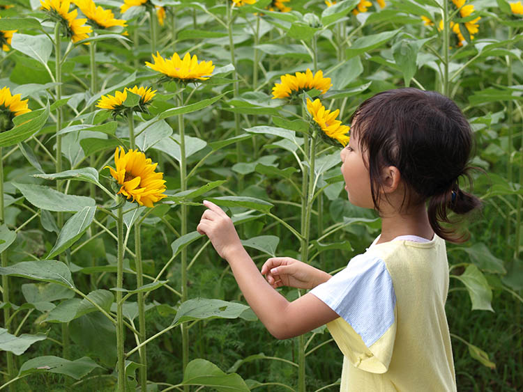 【写真】お顔見せて/5歳5カ月