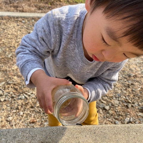 【写真】ありを見た～い／2歳11カ月