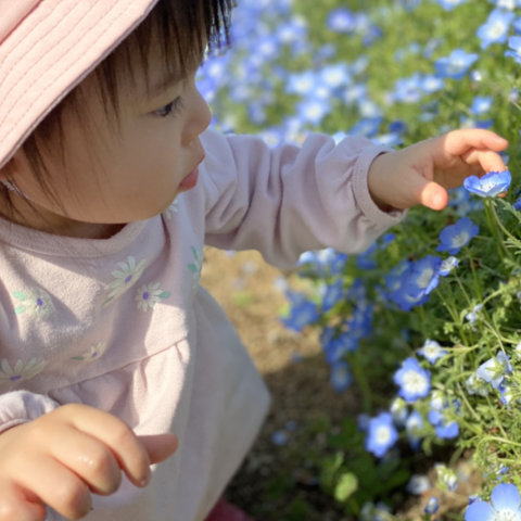 【写真】そぉーっと　そぉーっと／1歳5カ月