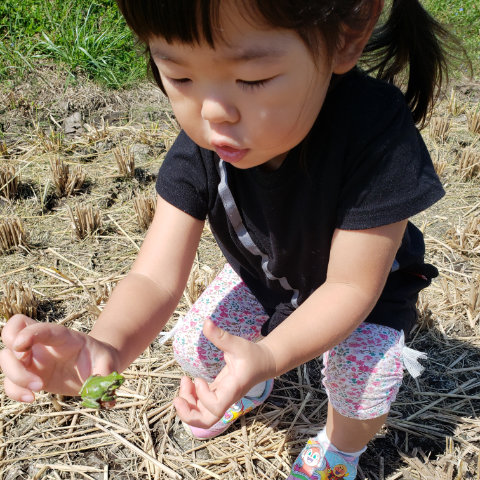 【写真】かえるさん一緒にジャンプしよう／2歳4カ月