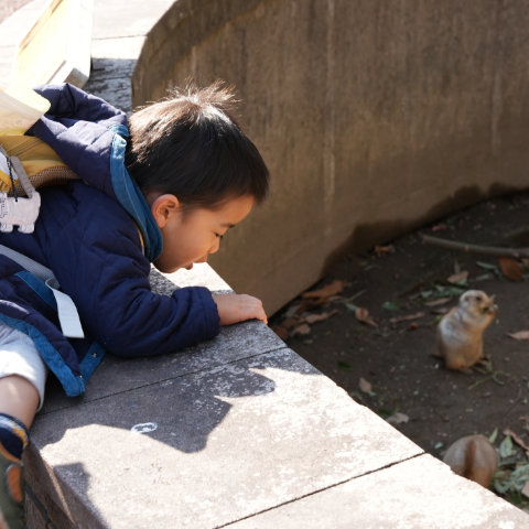 【写真】もっと良く見たい！／2歳3カ月