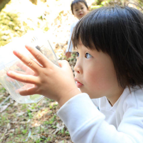 【写真】昆虫に夢虫！／4歳