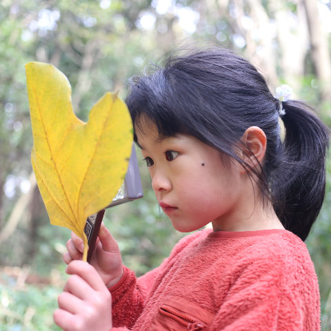 【写真】葉っぱの中に迷路発見！／6歳8カ月