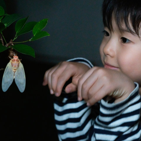 【写真】生命の神秘を感じる／5歳1カ月