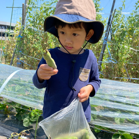 【写真】なんかチクチク、毛が生えてる！／3歳7カ月