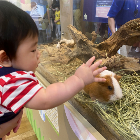 【写真】なでなで／1歳9カ月