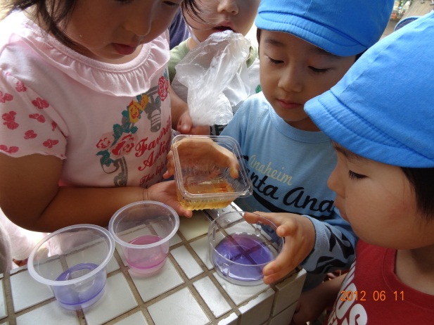 「生き物に親しむ」　イメージ画像