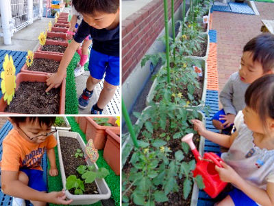 気づきの芽が膨らむ 幼児教育 保育のヒント 公益財団法人 ソニー教育財団