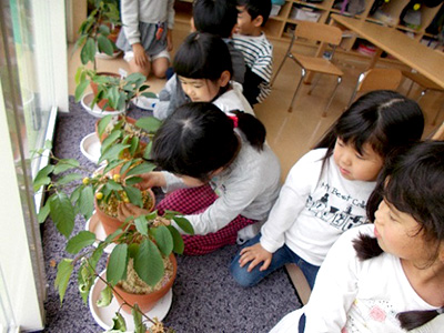 0326 地域の方とともに 幼児教育 保育のヒント 公益財団法人 ソニー教育財団