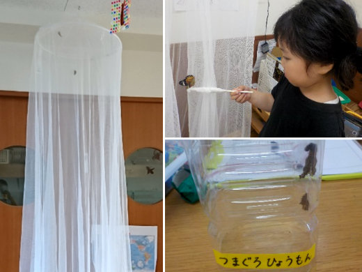 00 ツマグロヒョウモンの命と向き合う 幼児教育 保育のヒント 公益財団法人 ソニー教育財団 00 ツマグロヒョウモンの命と向き合う 幼児教育 保育のヒント 公益財団法人 ソニー教育財団