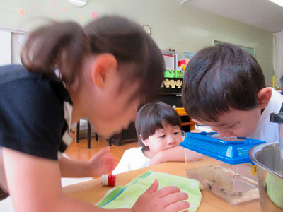 1221 探究につながる姿 3歳児 幼児教育 保育のヒント 公益財団法人 ソニー教育財団