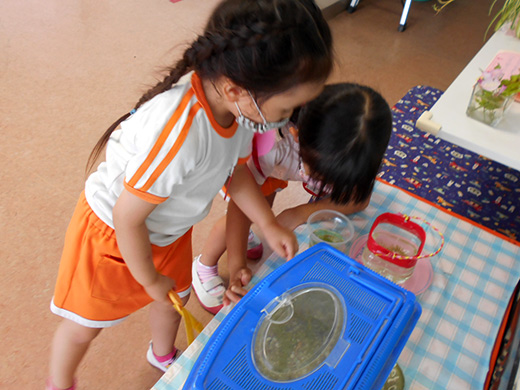 水槽を覗きこむ子どもたち