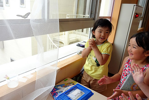 飛び始めたチョウを見て喜ぶ子どもたちの様子