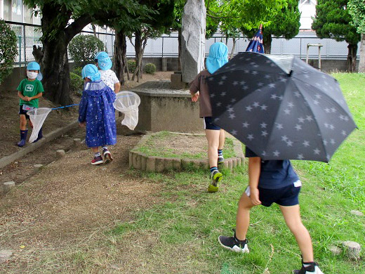 傘をさしながら園庭で虫を探す子どもたちの様子
