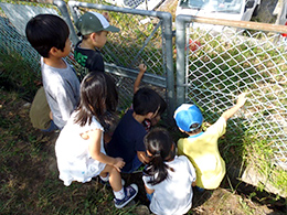 カマキリを逃している子どもたちの写真