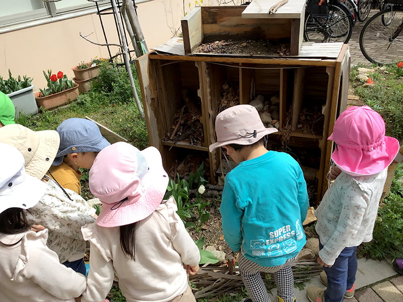 古い木の棚を虫たちが集まる家（バグホテル）として設置した様子を見つめる子どもたち