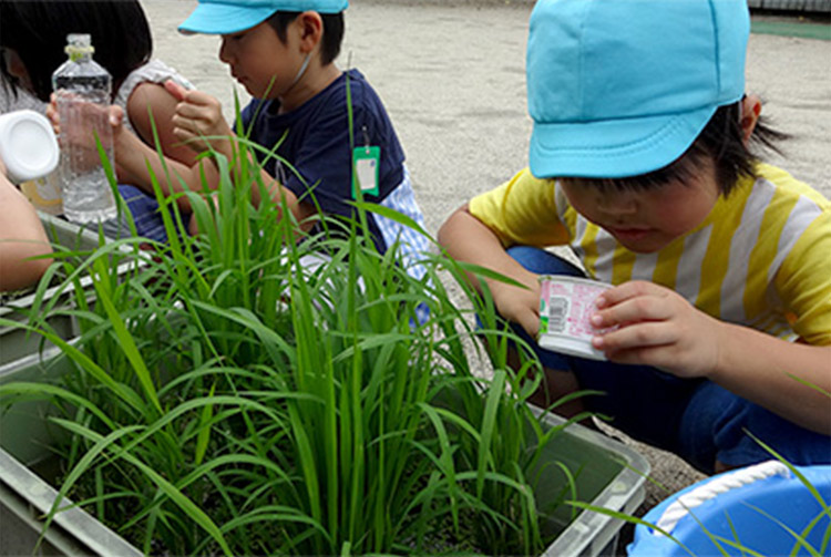 学校法人山梨学院山梨学院幼稚園／山梨県 イメージ画像