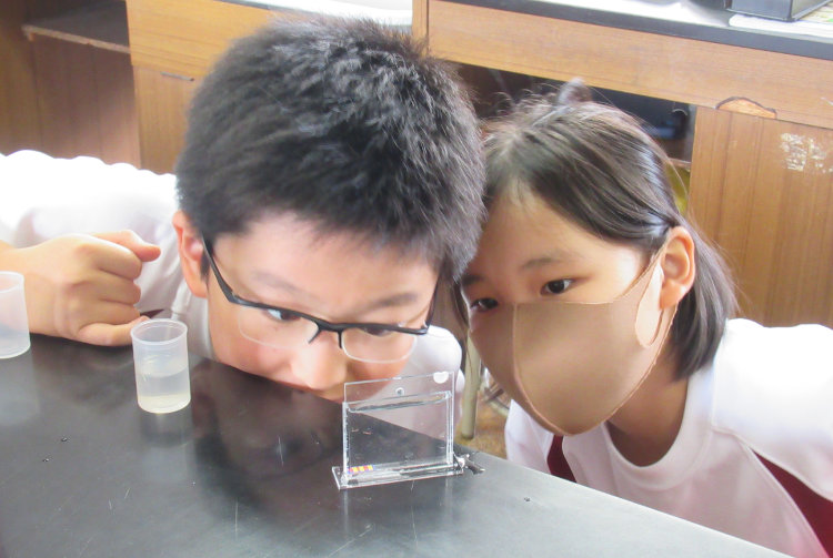 福島市立三河台小学校の実践の様子（写真）