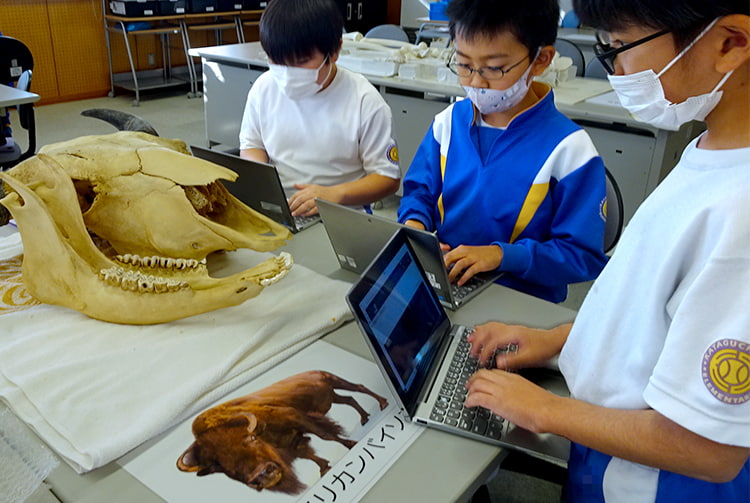 射水市立片口小学校の実践の様子（動物の骨を観察してPCを使い記録している子どもたち）